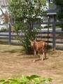 7637 165th Street - Photo 27