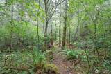 0 Tepee Lane - Photo 7