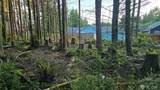 119 Olympic View Avenue - Photo 10