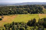 20412 Ricci Road - Photo 12