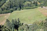 20412 Ricci Road - Photo 5