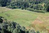 20412 Ricci Road - Photo 7