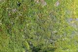 0 xxx Oak Harbor - Photo 15