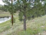 439 Aeneas Valley Road - Photo 11