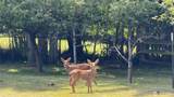 579 Ely Street - Photo 40