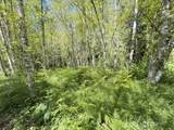 0 XXX Pleasant Valley Rd - Photo 15