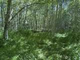 0 XXX Pleasant Valley Rd - Photo 20