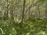 0 XXX Pleasant Valley Rd - Photo 7