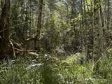 0 XXX Pleasant Valley Rd - Photo 9