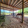 144 Ciannigan Hill Road - Photo 25