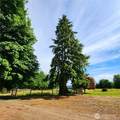 144 Ciannigan Hill Road - Photo 39