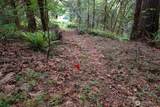 13824 Lone Maple Lane - Photo 7