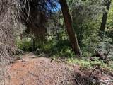 0 Buttermilk Creek Road - Photo 12
