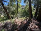 0 Buttermilk Creek Road - Photo 14