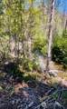 0 Buttermilk Creek Road - Photo 3