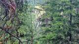 10 Humes Road - Photo 15
