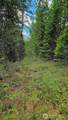 10 Humes Road - Photo 10