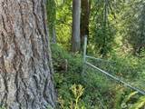 0 XXX Hippie Hill Road - Photo 4