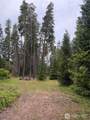 730 Tall Pines Drive - Photo 22