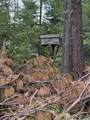 750 Tall Pines Drive - Photo 1