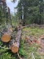 750 Tall Pines Drive - Photo 2