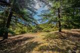 734 Swan Road - Photo 27