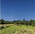 55 Wilson Lane - Photo 7