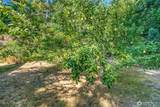 404 Lookout Loop - Photo 30