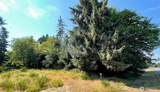 163 Olympic View Avenue - Photo 5
