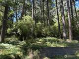 0 Captain Leison Lane - Photo 5
