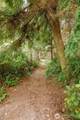 710 Island Ridge Way - Photo 14