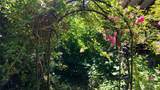 28651 Bacus Road - Photo 26