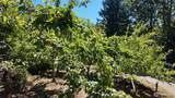 28651 Bacus Road - Photo 31