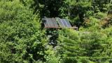 28651 Bacus Road - Photo 36
