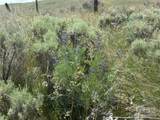 0 Titchenal Canyon Road - Photo 11