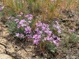0 Titchenal Canyon Road - Photo 37