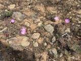 0 Titchenal Canyon Road - Photo 38