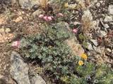 0 Titchenal Canyon Road - Photo 39