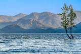 4422 Kachess Lake Road - Photo 33