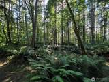 23601 Landers Road - Photo 17