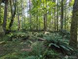 23601 Landers Road - Photo 19