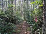 23601 Landers Road - Photo 5