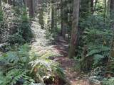 23601 Landers Road - Photo 7