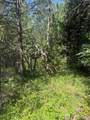 0 Bare Land - Photo 21