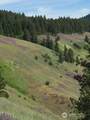 0 Bare Land - Photo 5