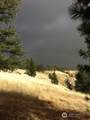 0 Bare Land - Photo 6