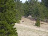 0 Bare Land - Photo 8