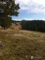 0 Bare Land - Photo 9