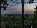 536 Province Drive - Photo 34