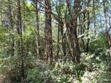 115 Campground Lane - Photo 11